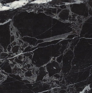 Meet your Posher, Nickolas